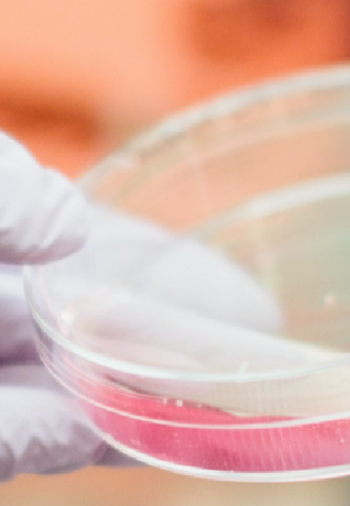 Lifescience industry 