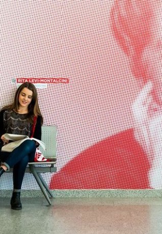 Students at  Bicocca University