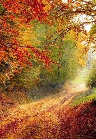 parchi in autunno