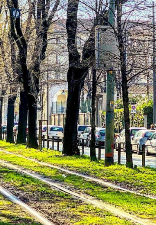 Vile Mac Mahon - foto Luca Caputa