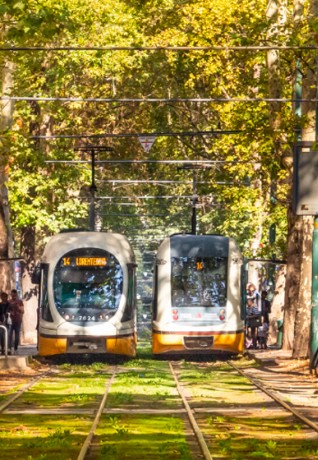 Il Tram 14