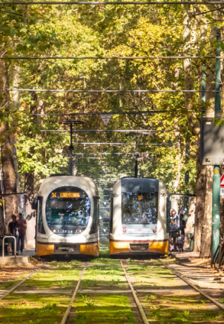 Il Tram 14