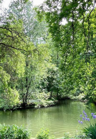 La lussureggiante vegetazione dei Giardini Montanelli - pic @valentinabrambilla