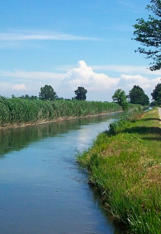 Percorso in bicicletta sul Naviglio di Bereguardo