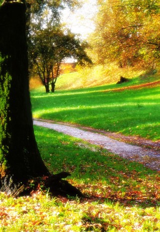 Parco Lambro