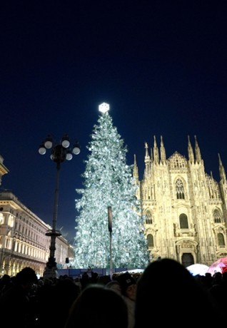 Il Natale degli Alberi 2024