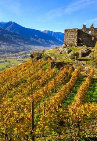 Strada del Vino e dei Sapori della Valtellina
