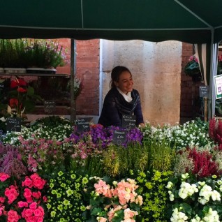 Floralia - Mercato di Primavera