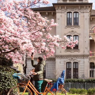 A Marzo Milano Fiorisce - Piazza Tommaseo - Pic Anna della Badia
