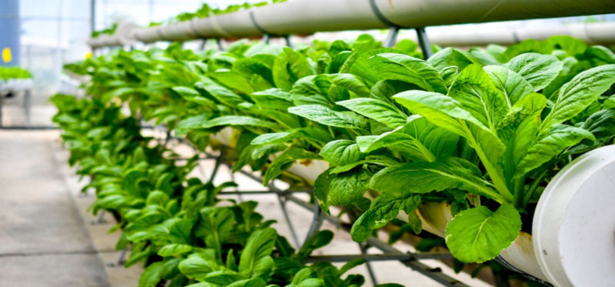 Agrifood Tech