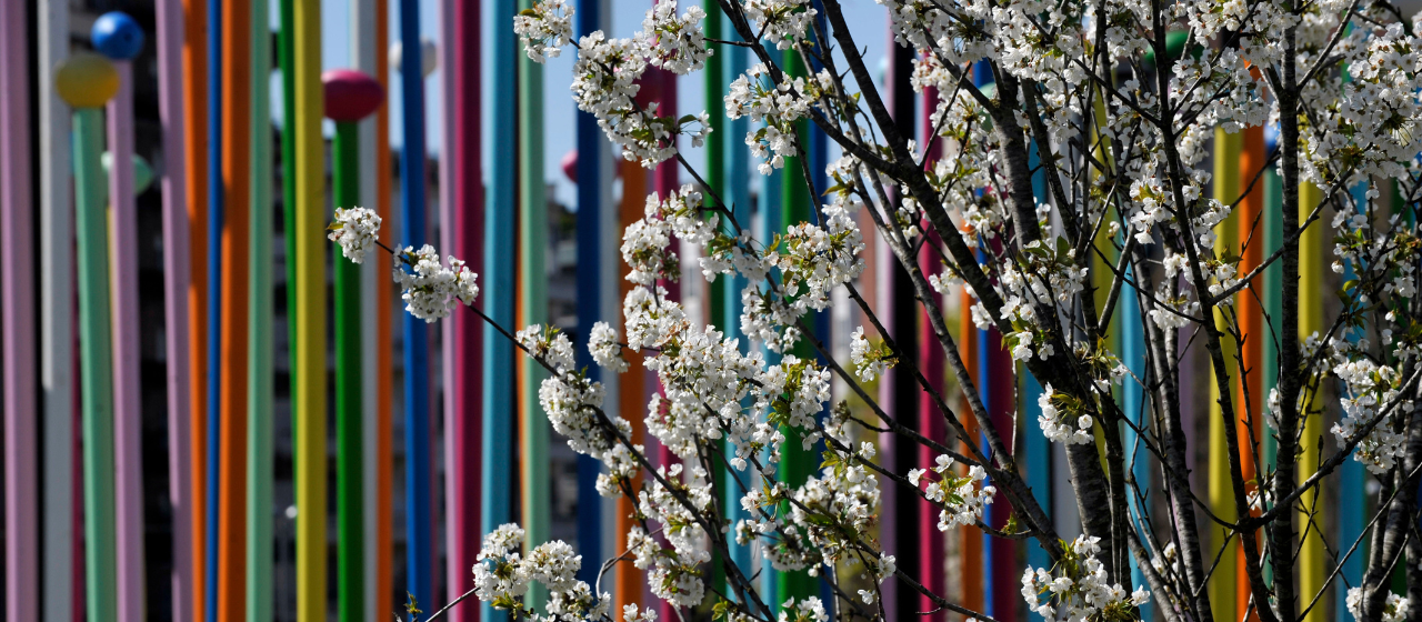 Primavera a Milano - city life - fiori & design - pic Comune di Milano